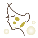 脂肪溶解注射 Fat X Core